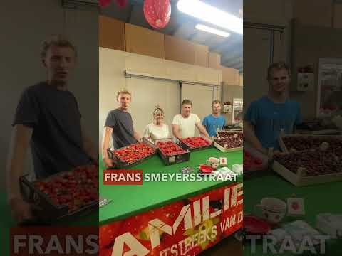 Short 13